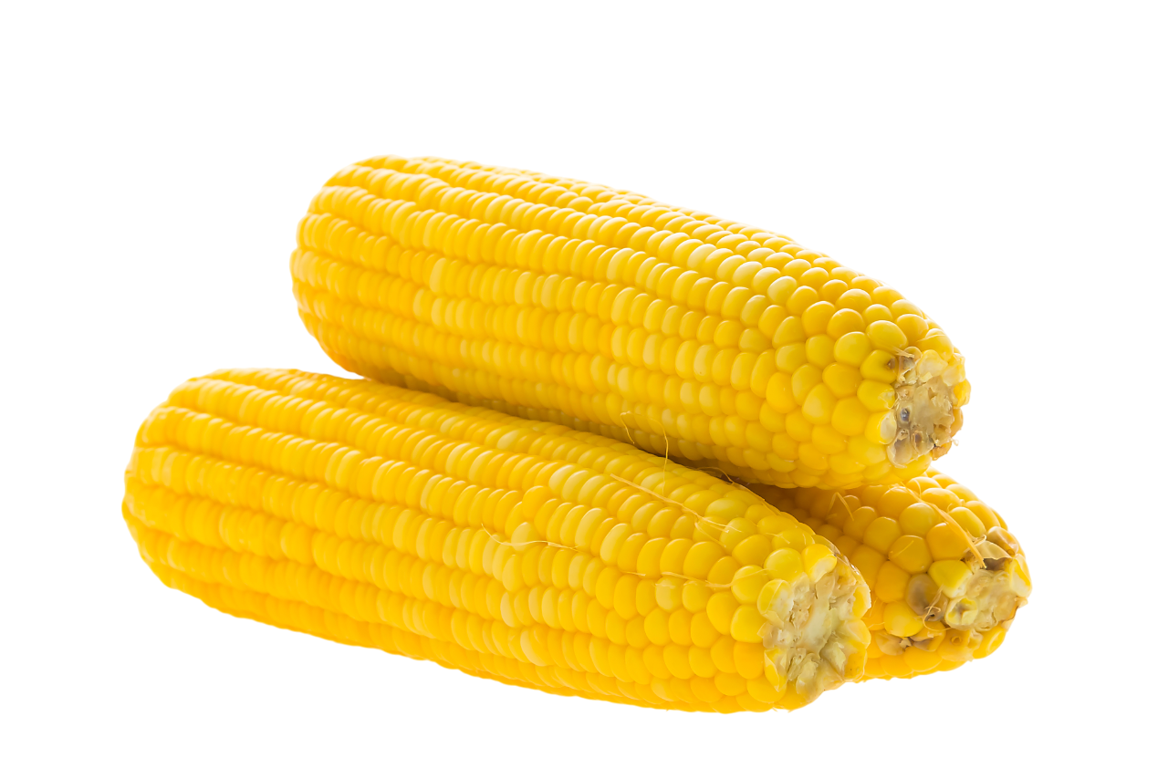 Corn