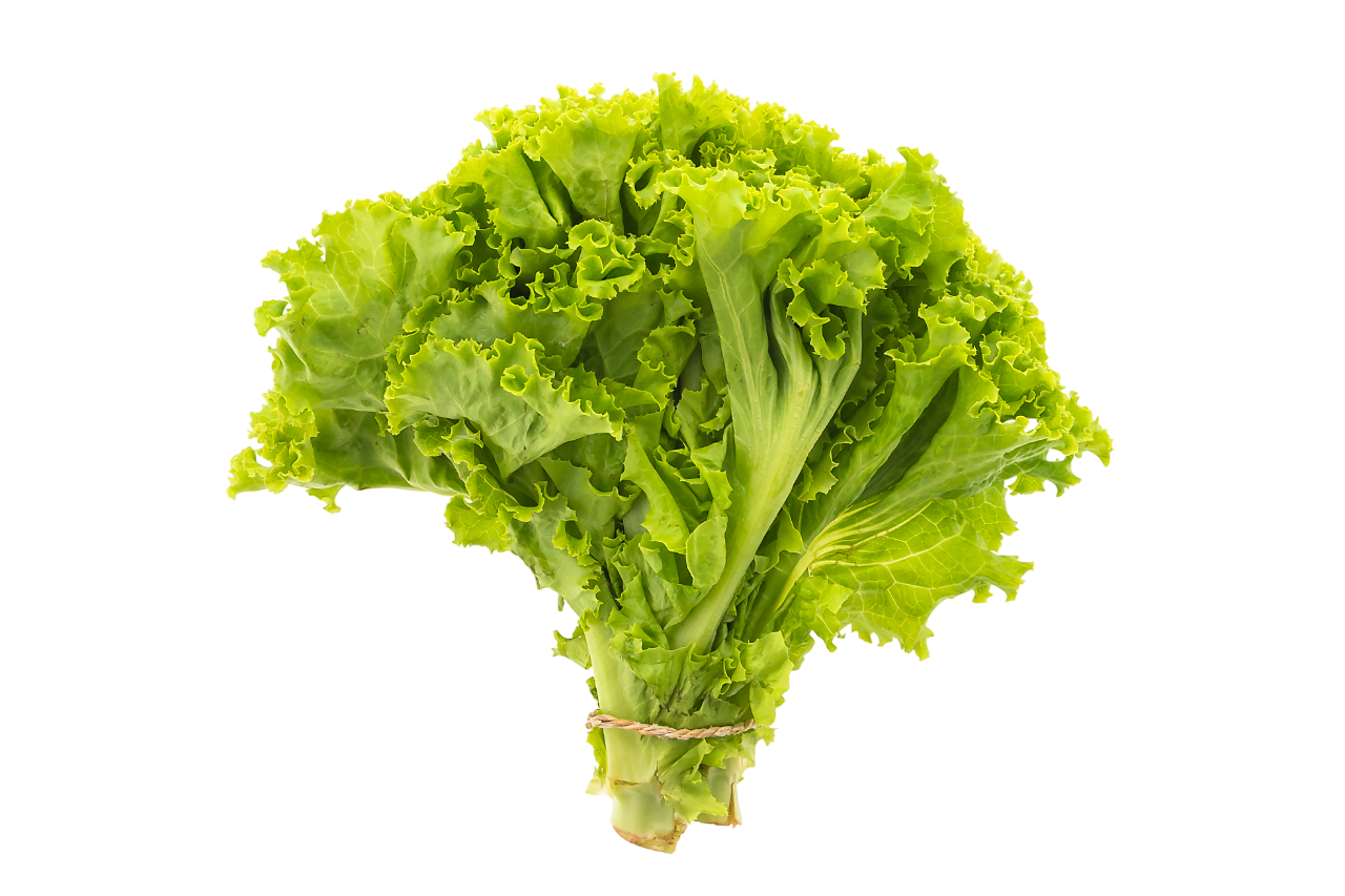 Lettuce